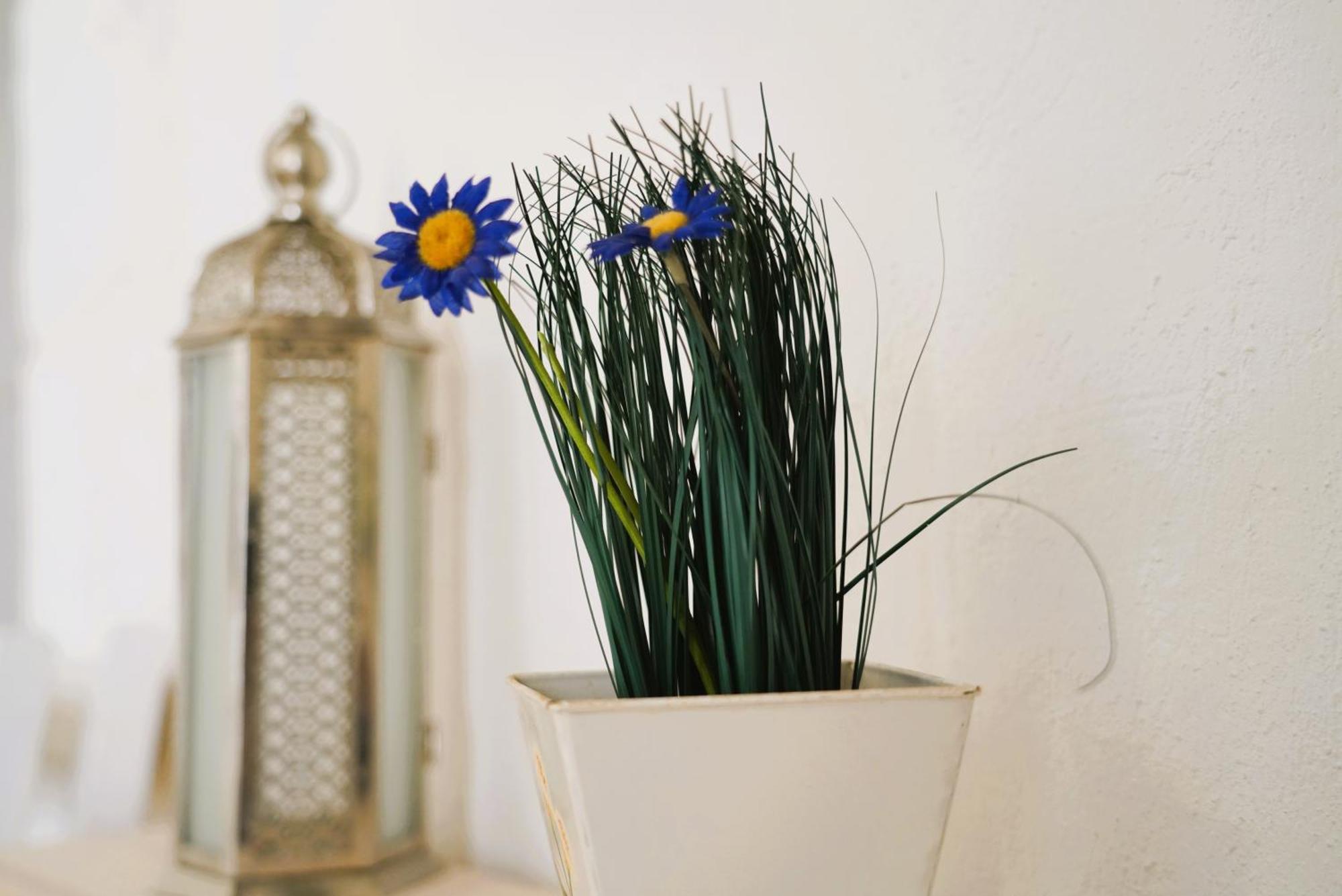 Dimora Arco Antico - Tesoro Nel Cuore Di Holiday home Ostuni